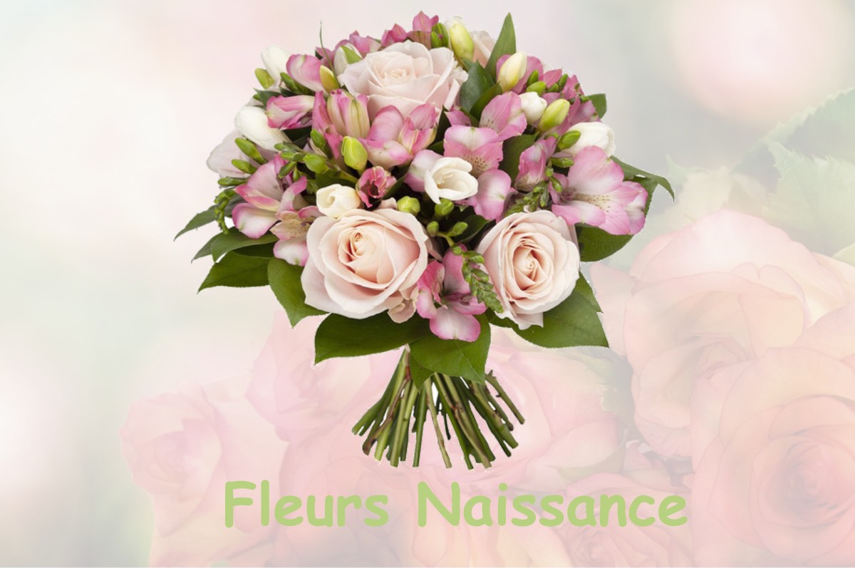 fleurs naissance SIGNAC