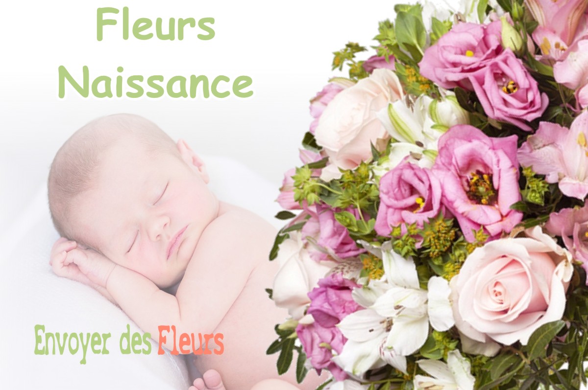 lIVRAISON FLEURS NAISSANCE à SIGNAC